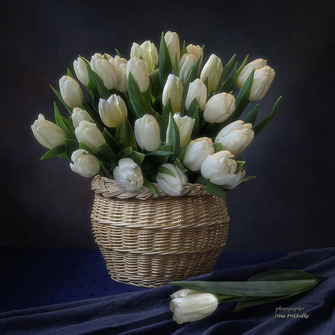 VFL.RU - ��� �����������