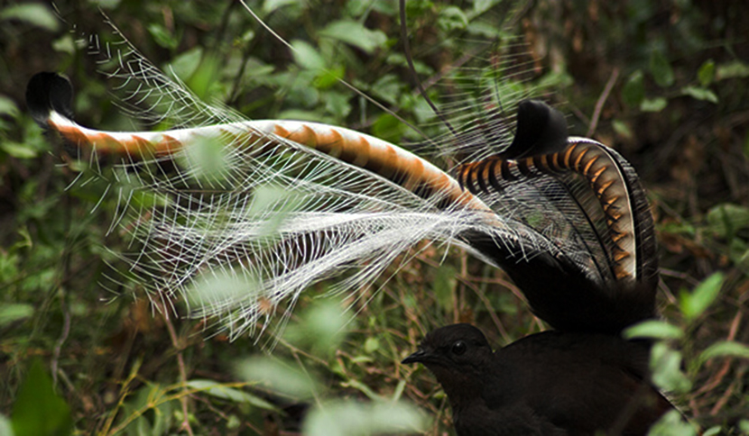 0���������