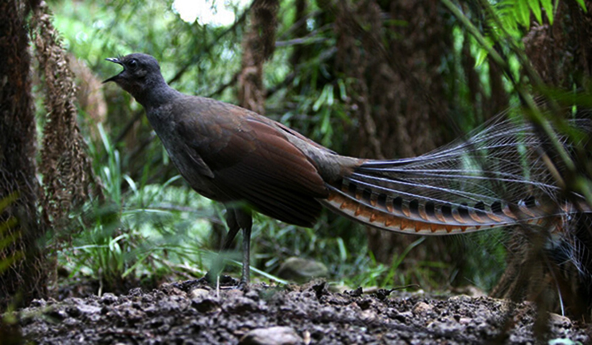 1���� ������������� ���������