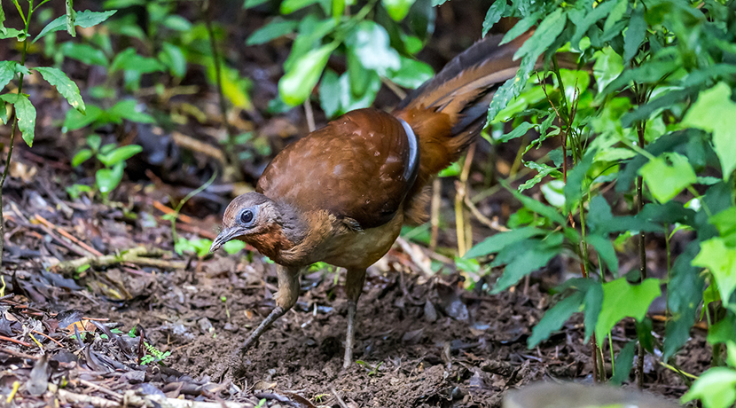 VFL.RU - ��� �����������