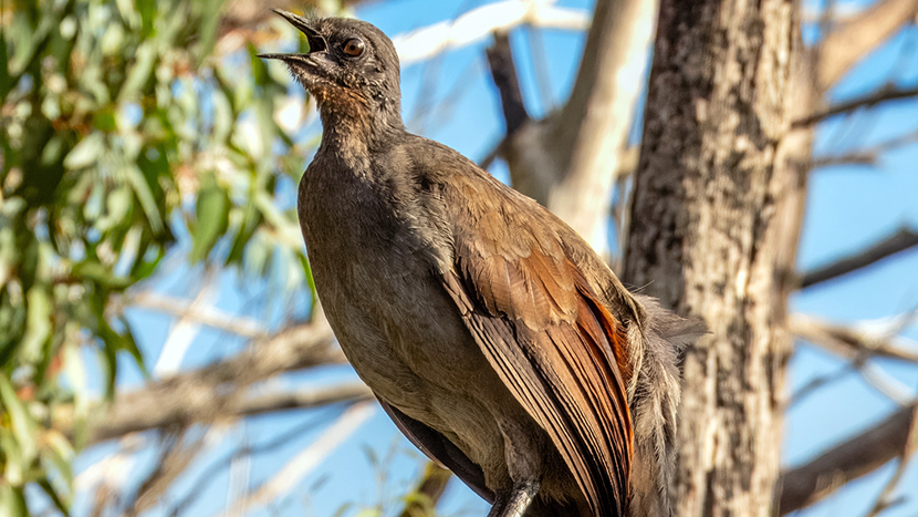 VFL.RU - ��� �����������