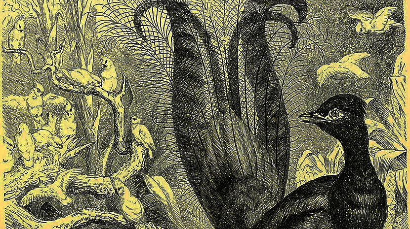 VFL.RU - ��� �����������