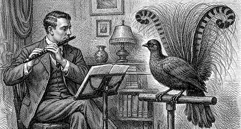 VFL.RU - ��� �����������