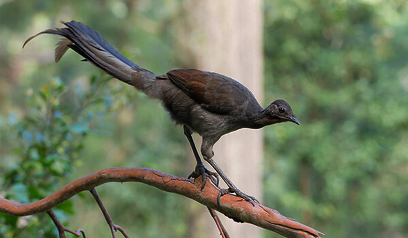 11���������