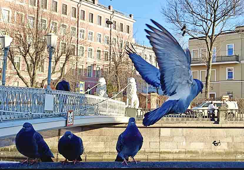 VFL.RU - ��� �����������