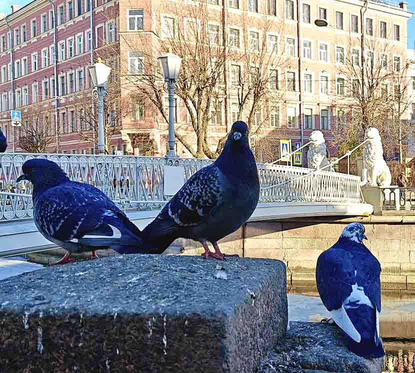 VFL.RU - ��� �����������