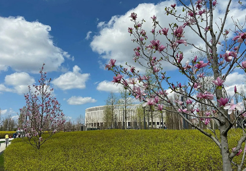 VFL.RU - ��� �����������