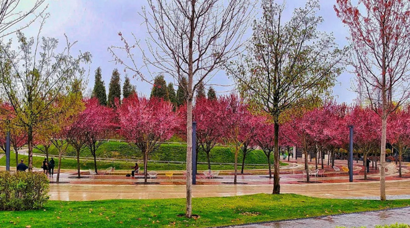 VFL.RU - ��� �����������