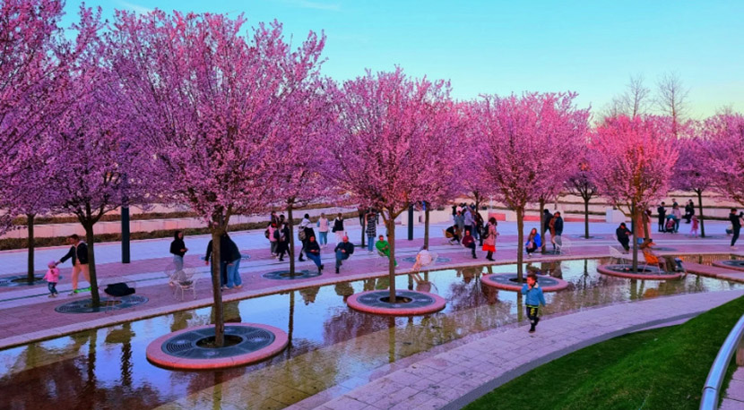 VFL.RU - ��� �����������