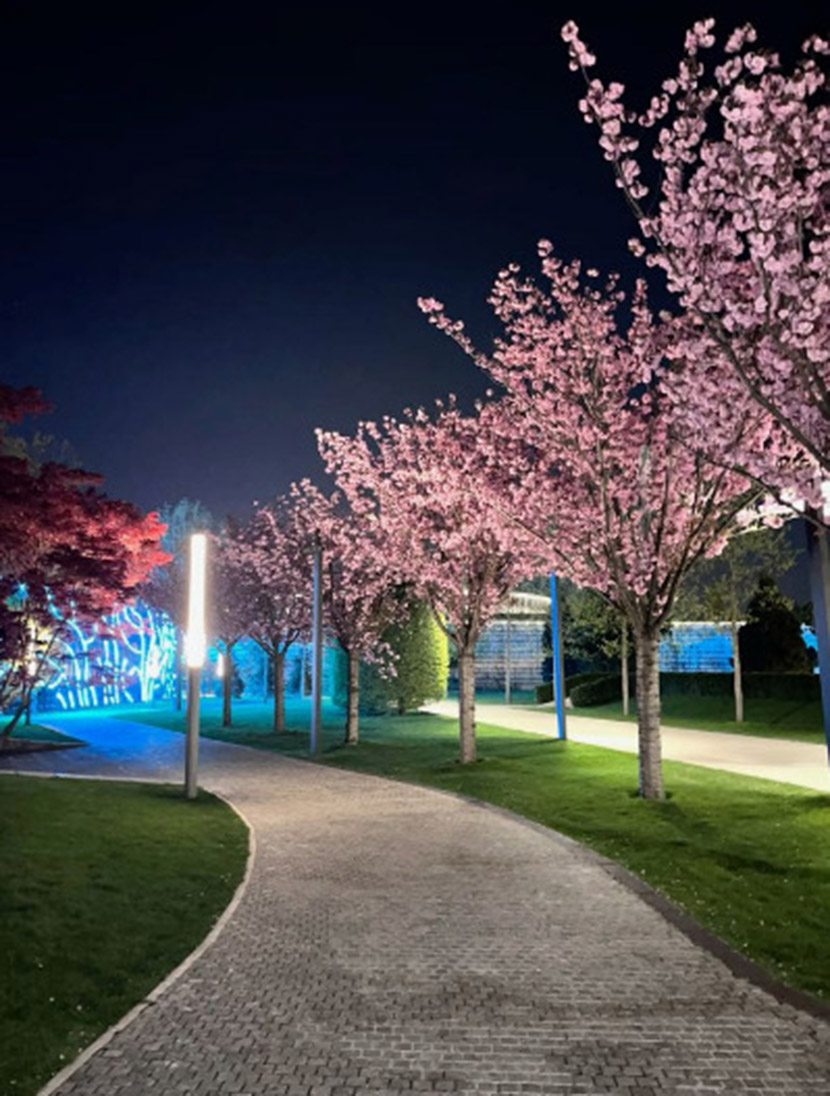 VFL.RU - ��� �����������