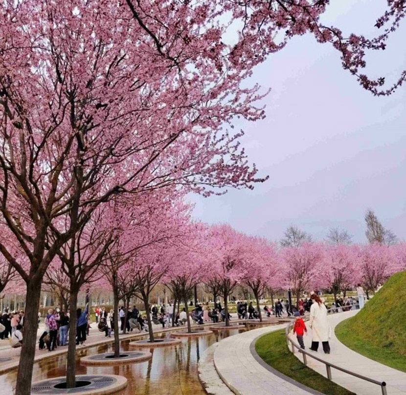 VFL.RU - ��� �����������