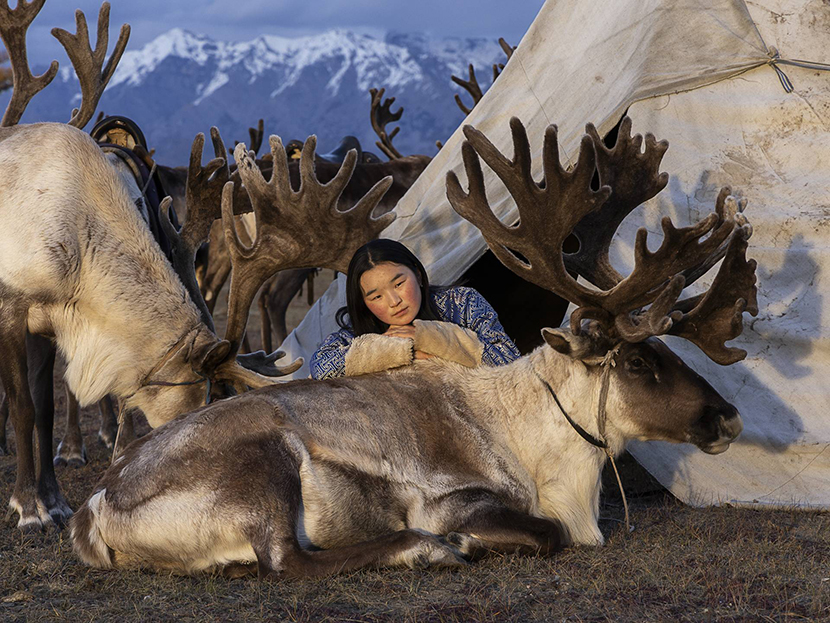 1������ ��������. ������, ������.