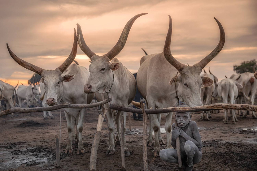 3������� �������. ������. ������.