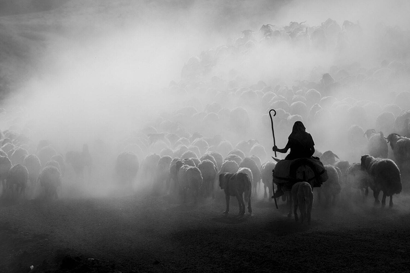 4Erhan Kalkandelen. ������.