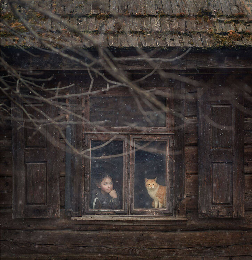 6������� ����������. ������.