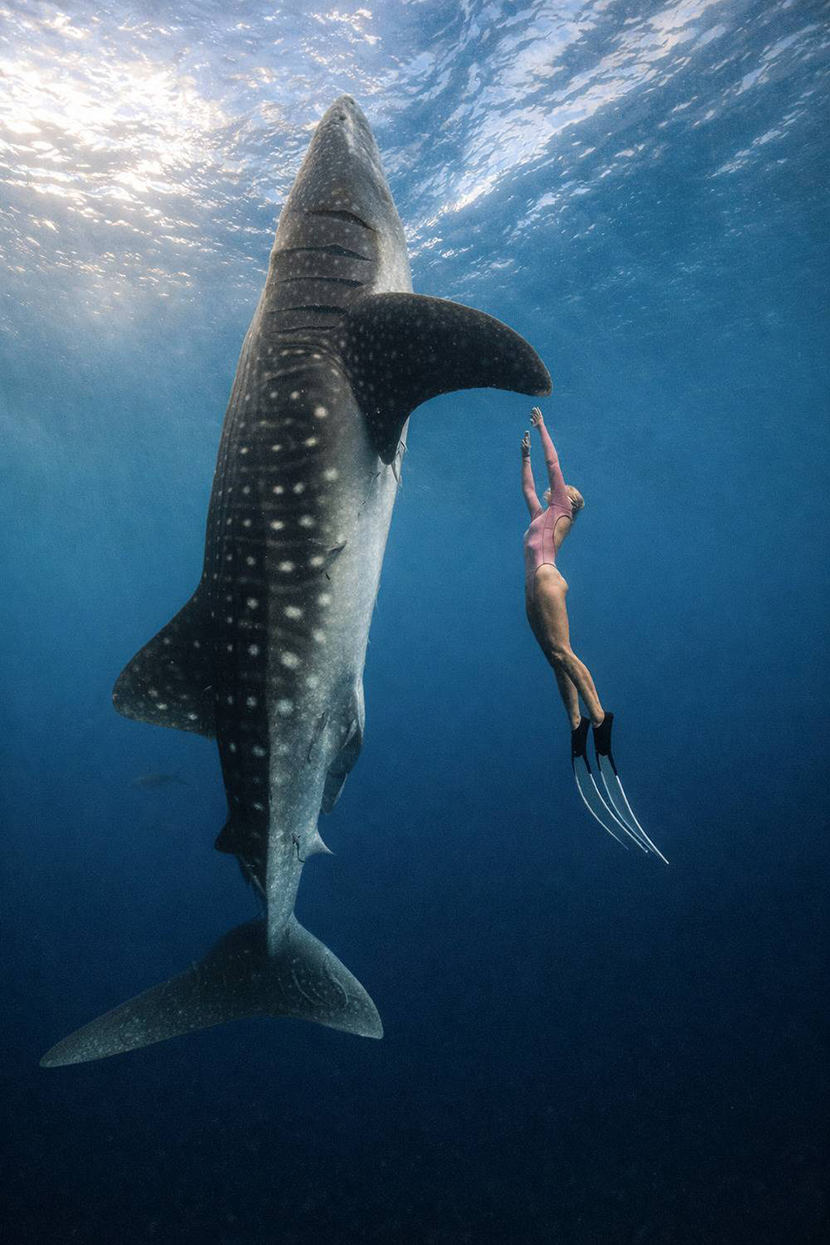 7���� ��������. ������ ������.