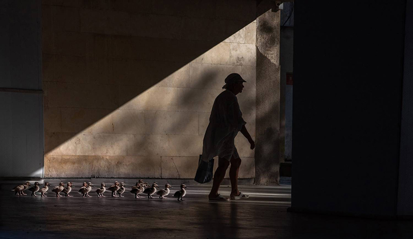 10��������� ������, ������ ,������.