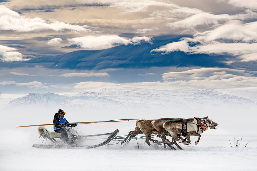 19ARTEM KORZHUKOV.����������.