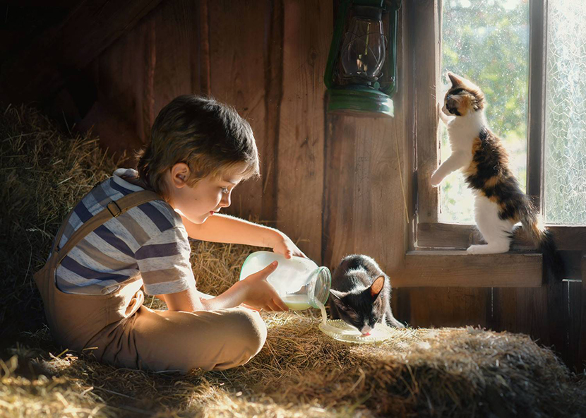 20����� �������.���������� �����.