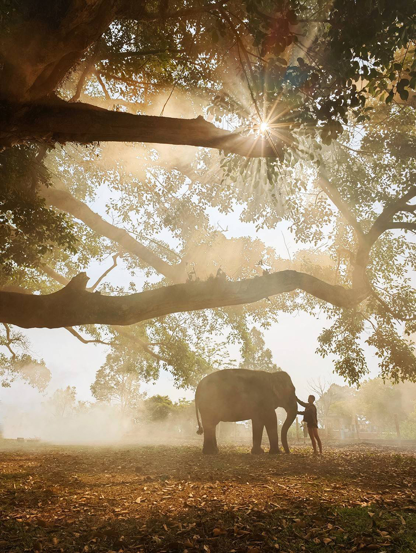 25Tran Phuong. �������.