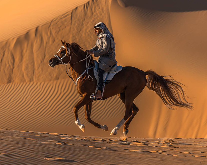 26MOHAMED NADA.���������� ������.