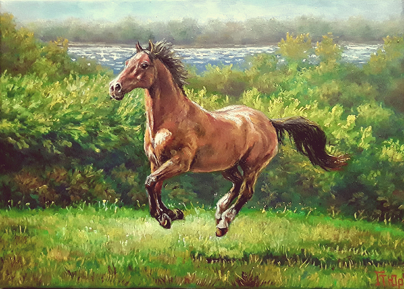 VFL.RU - ��� �����������