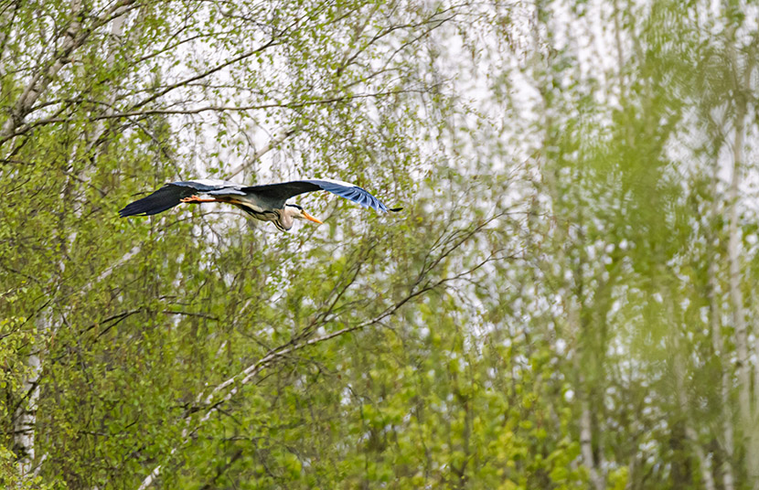 VFL.RU - ��� �����������