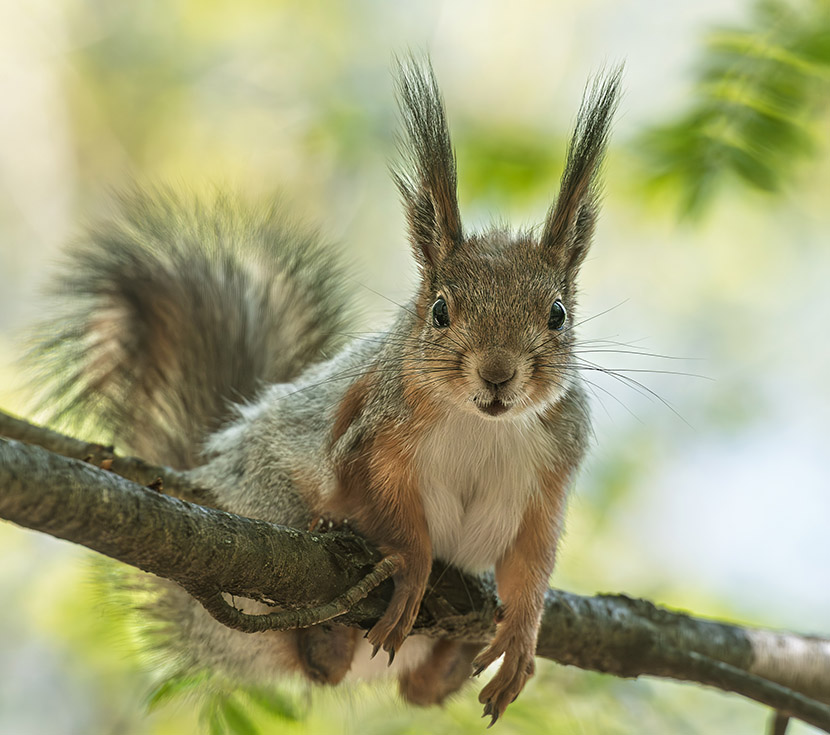 VFL.RU - ��� �����������