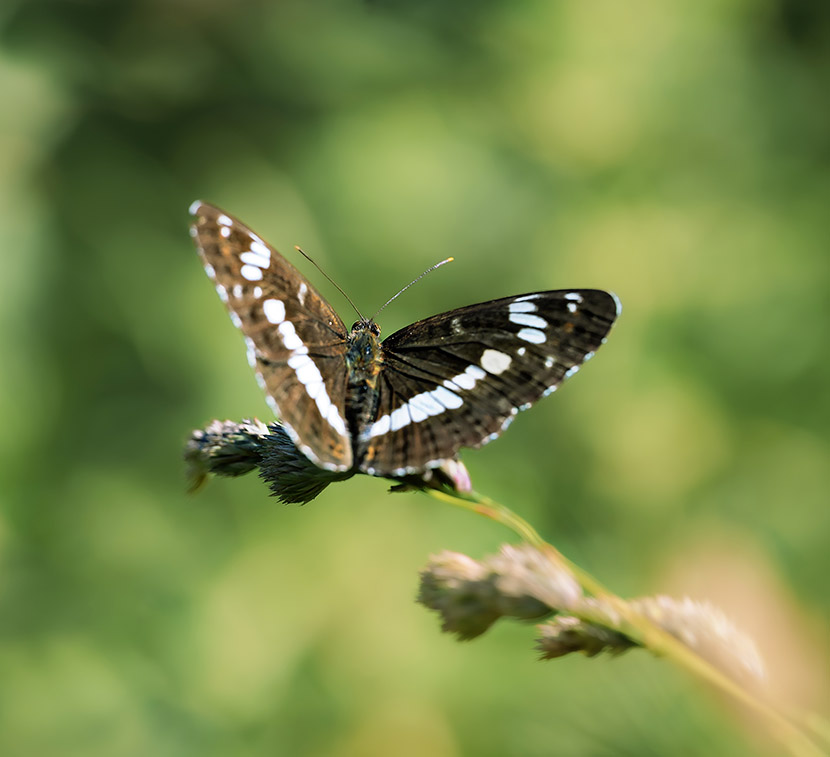 VFL.RU - ��� �����������