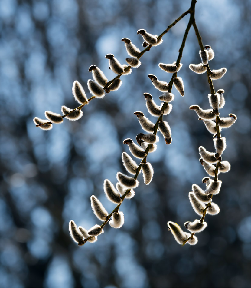 VFL.RU - ��� �����������