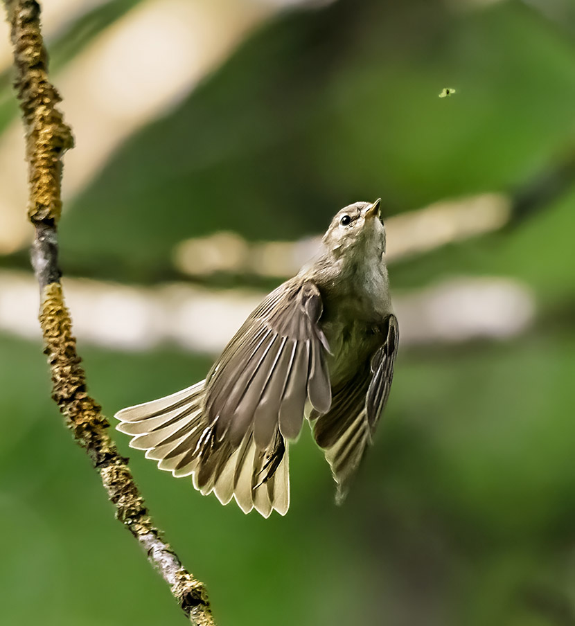 VFL.RU - ��� �����������