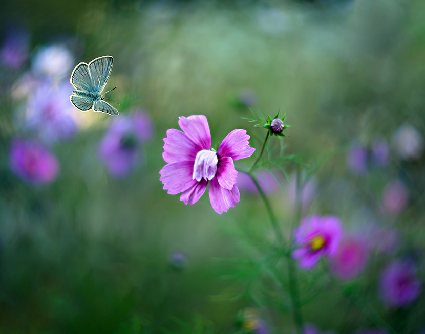 VFL.RU - ��� �����������