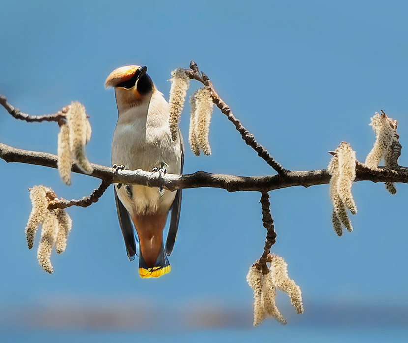 VFL.RU - ��� �����������