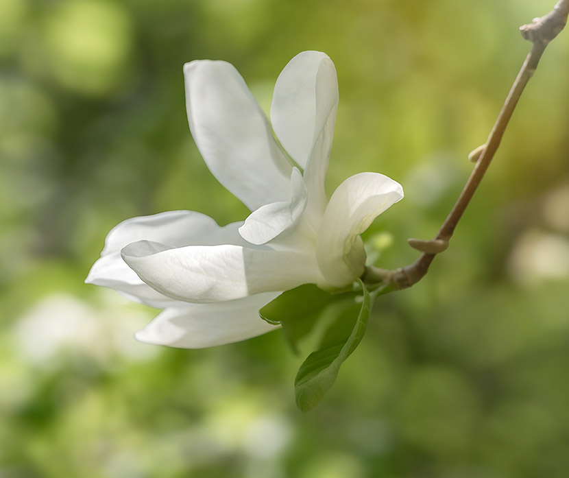 VFL.RU - ��� �����������