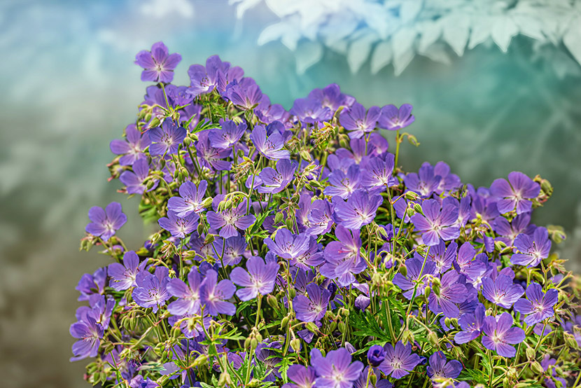 VFL.RU - ��� �����������