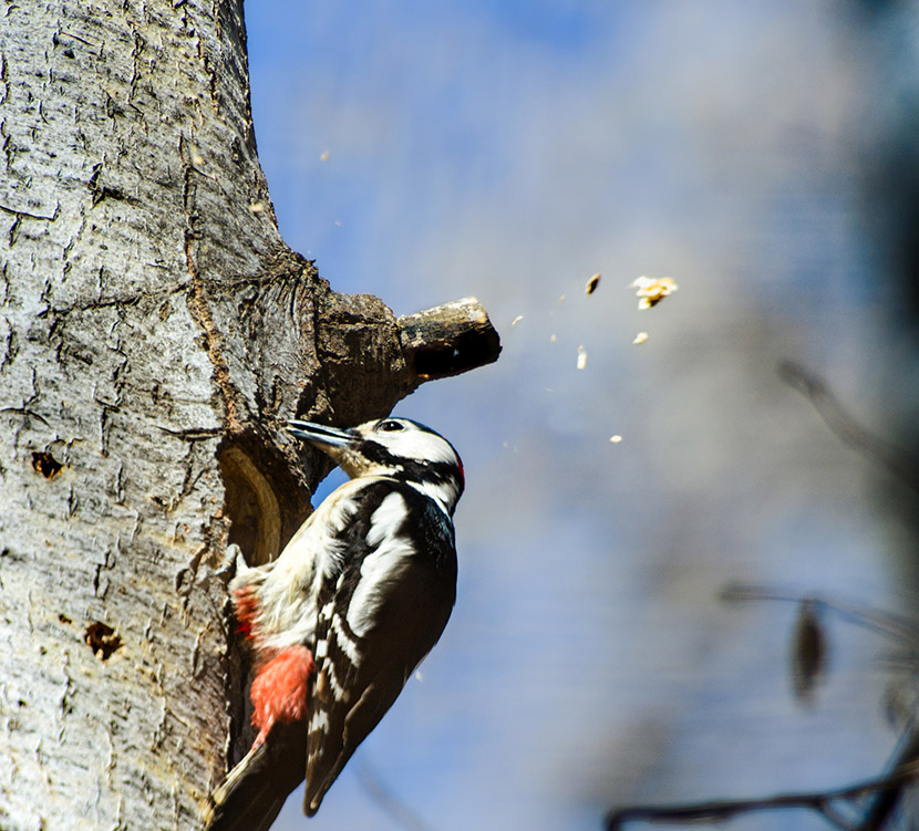 VFL.RU - ��� �����������