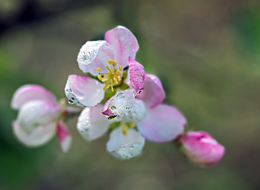 VFL.RU - ��� �����������