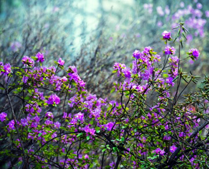 VFL.RU - ��� �����������