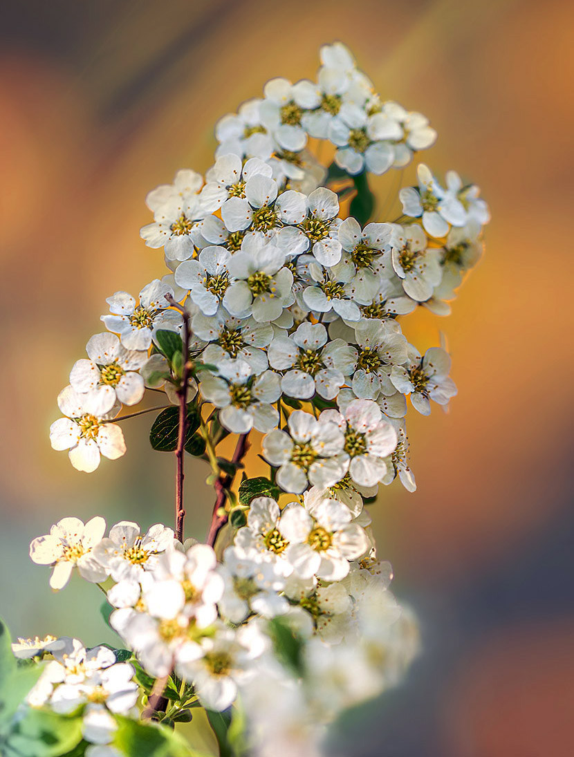 VFL.RU - ��� �����������