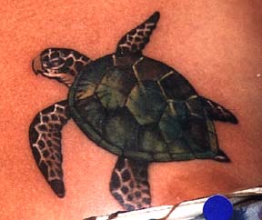 Фото и значение татуировки Черепаха. 207703