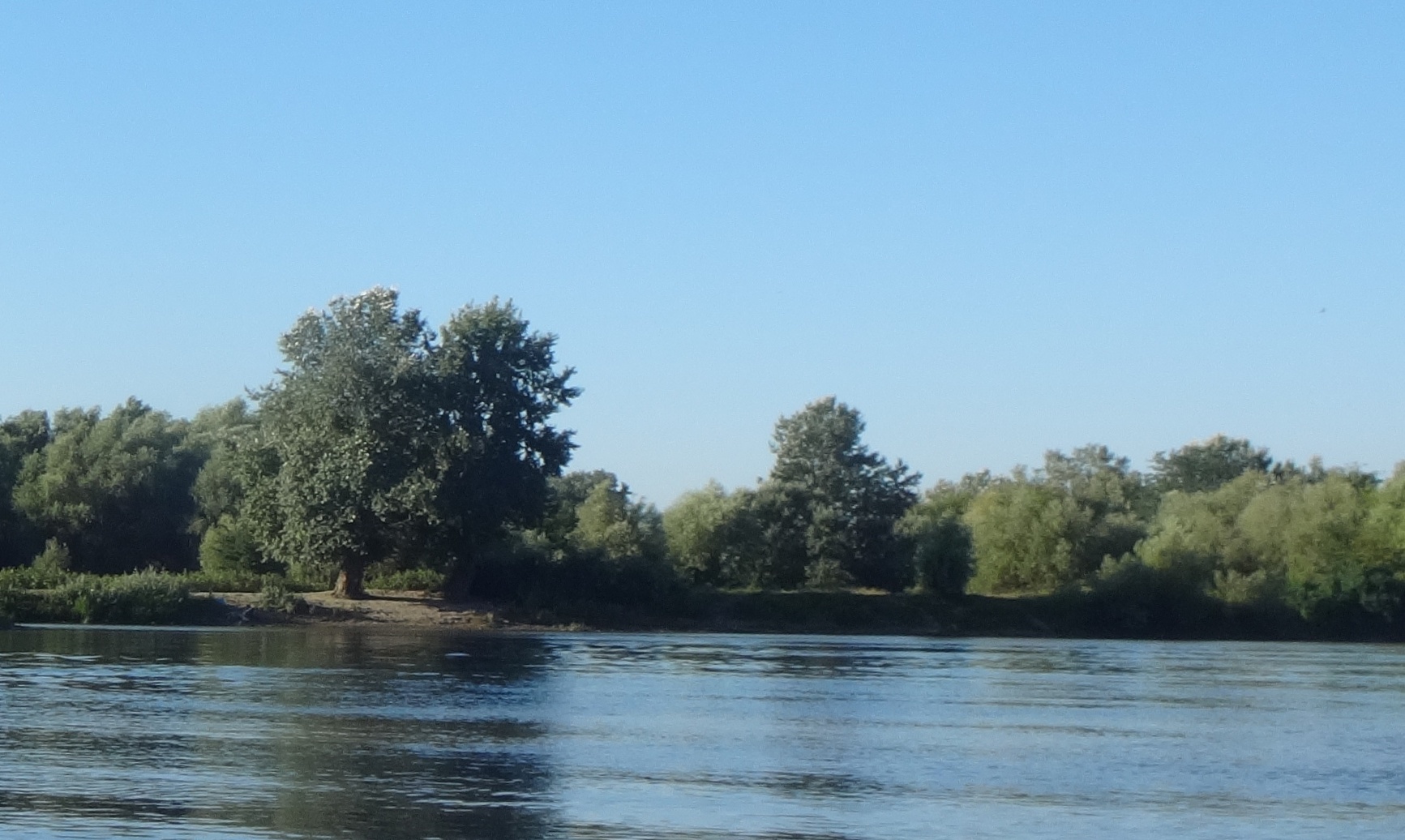 Река Кубань загажена