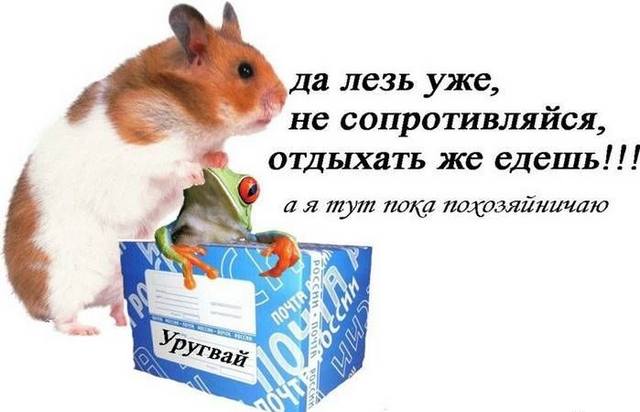 http://images.vfl.ru/ii/1311365747/af3aaf25/33621_m.jpg