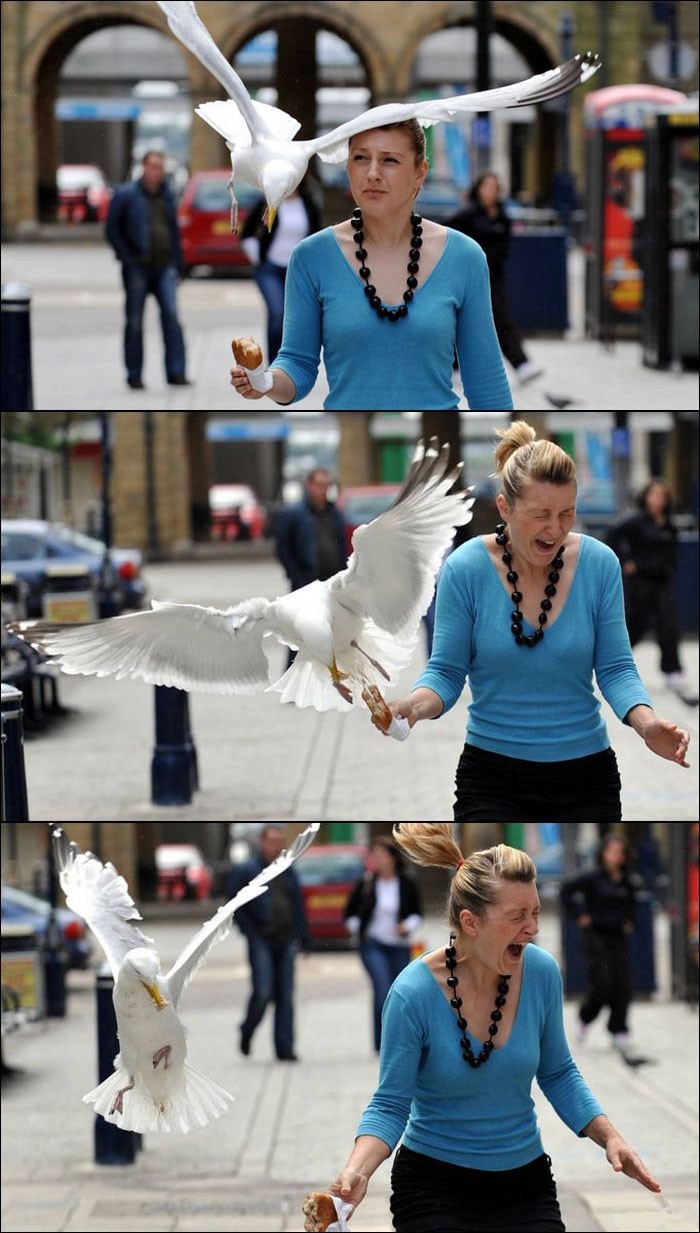 ПТИЧКА ХОЧЕТ КУШАТЬ