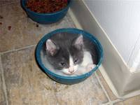 VFL.RU - ваш фотохостинг