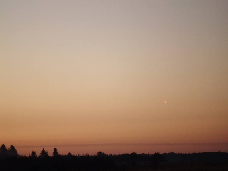 Изображение 605