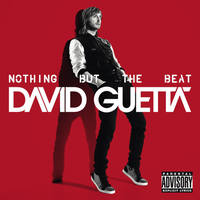 Nothing But the Beat 600