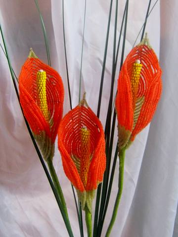 http://images.vfl.ru/ii/1315138422/eae20e00/100941_m.jpg