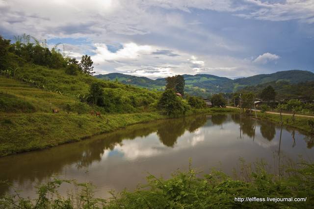 VFL.RU - ваш фотохостинг