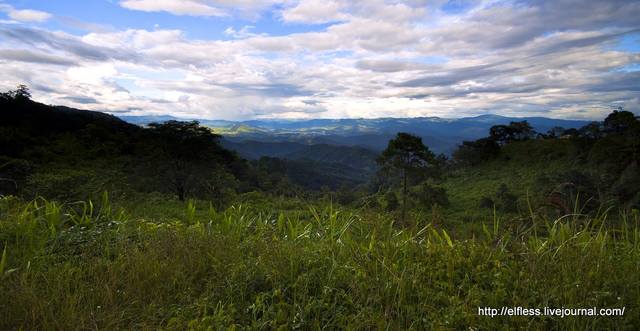 VFL.RU - ваш фотохостинг