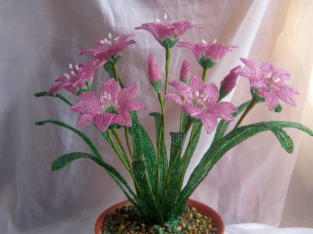http://images.vfl.ru/ii/1319043408/38c1ddde/154133_m.jpg